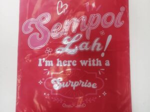 EasyParcel L (A3) Flyer